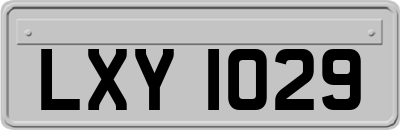 LXY1029