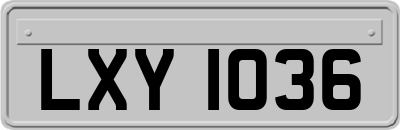 LXY1036