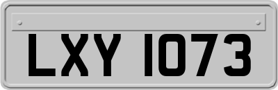 LXY1073