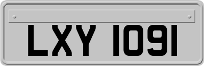 LXY1091