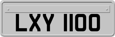 LXY1100