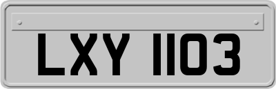 LXY1103