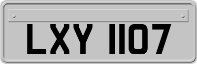 LXY1107