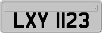 LXY1123