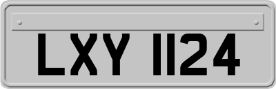 LXY1124