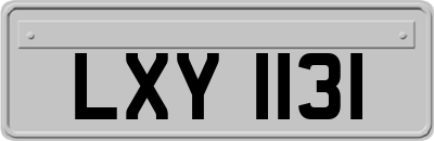 LXY1131