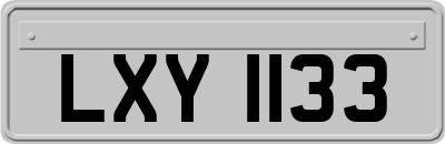 LXY1133