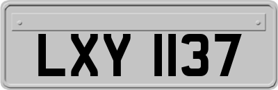 LXY1137