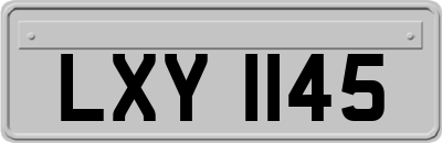 LXY1145