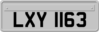 LXY1163