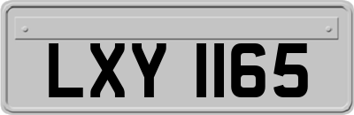 LXY1165