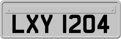 LXY1204
