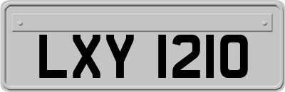 LXY1210