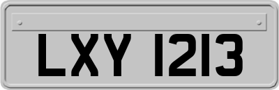 LXY1213