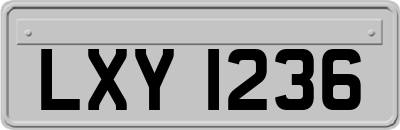 LXY1236