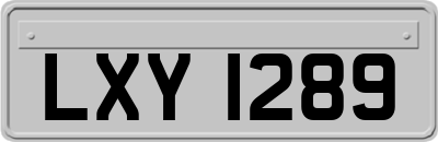 LXY1289