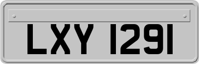 LXY1291