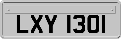 LXY1301