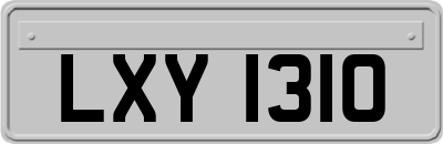 LXY1310