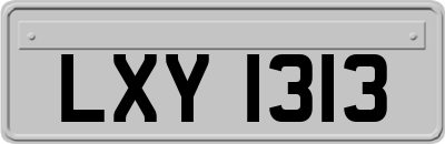 LXY1313