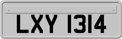 LXY1314