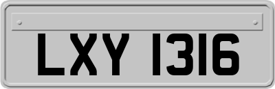 LXY1316
