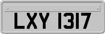 LXY1317