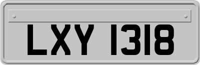 LXY1318