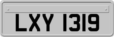 LXY1319