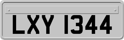 LXY1344