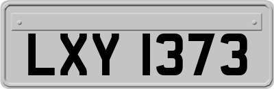 LXY1373