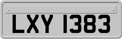 LXY1383