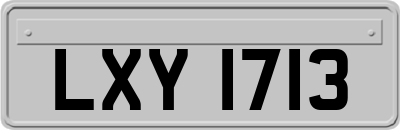 LXY1713