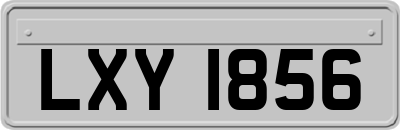 LXY1856