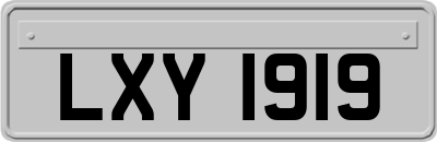LXY1919