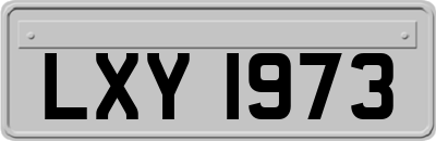 LXY1973