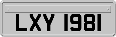 LXY1981