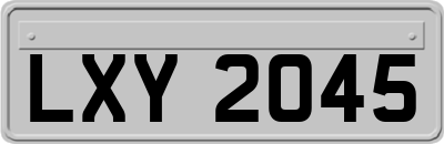LXY2045