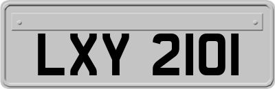 LXY2101