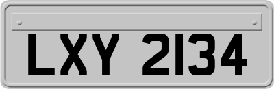 LXY2134