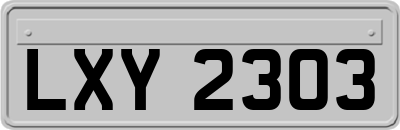 LXY2303