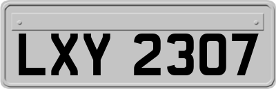 LXY2307