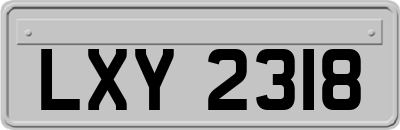 LXY2318
