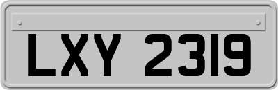 LXY2319
