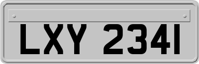LXY2341