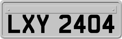 LXY2404