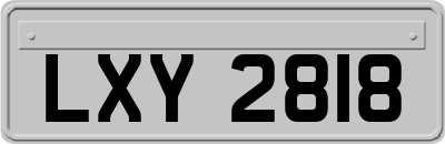 LXY2818