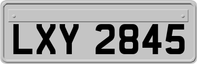 LXY2845