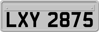 LXY2875