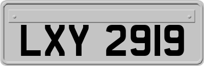 LXY2919